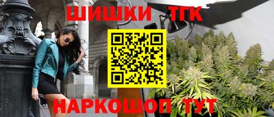 гашик Нальчик