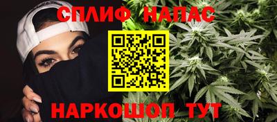 гашик Нальчик