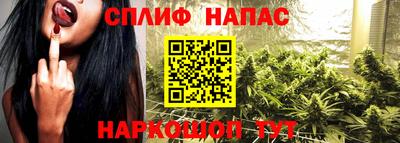 гашик Нальчик