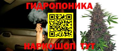 мдпв Нарткала