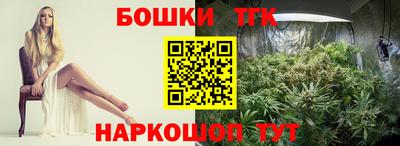 гашик Нальчик