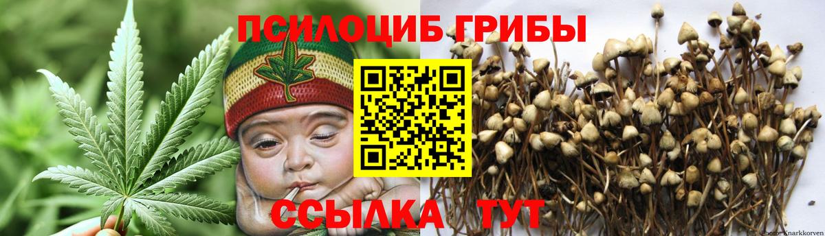 Псилоцибиновые грибы GOLDEN TEACHER  Вход с VPN  Димитровград  Псилоцибиновые грибы Psilocybine cubensis 